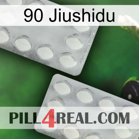 90 Jiushidu 17.jpg